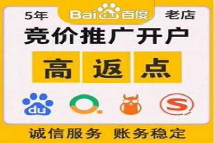 网络推广竞价策略解析与应用案例